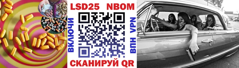 магазин продажи Новая Ладога LSD-25 экстази кислота