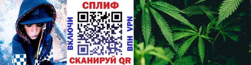 хочу наркоту  Новая Ладога  МАРИХУАНА White Widow 